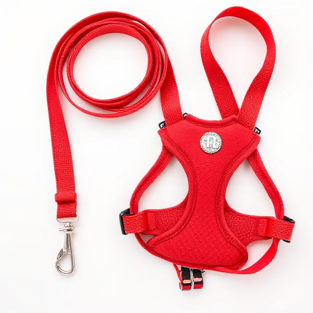 Leash & Harness Set